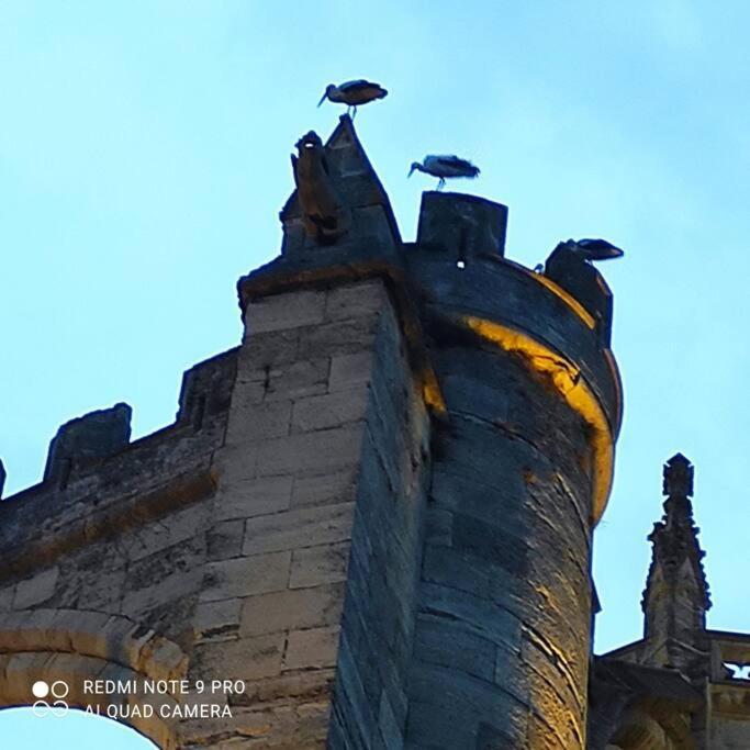 Apartmán Logis Corneille I Narbonne Exteriér fotografie